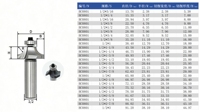 Fraise à chanfreiner pour le travail du bois avec roulement, fraise à chanfreiner les coins en R, fraise de formage CNC en carbure