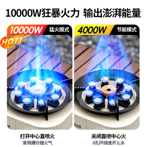Beishanlang Infrared Cassette <b>Stove</b> Gas Portable Outdoor Cooking <b>Stove</b> SK275 - Product Image 4