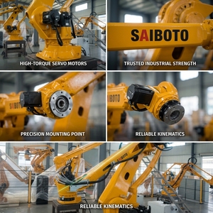 Robot de palettisation robuste à haute performance, ligne d'emballage, service technique mondial soutenu par des ingénieurs professionnels - Product Image 5