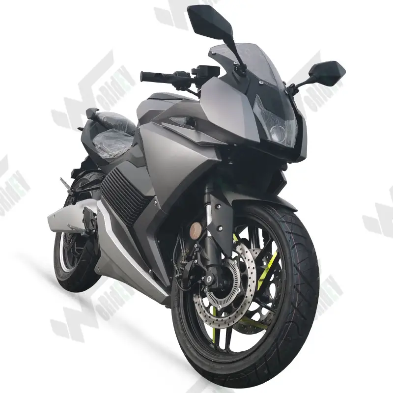 2021 Off Road 2 Ruote 1000w Elettrico Moto con 20A Fast Charger