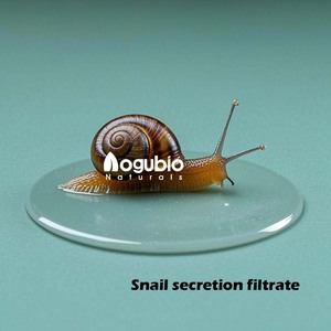 Aogubio lớp mỹ phẩm ốc lọc chất lỏng ốc chiết xuất chất lỏng cho chăm sóc da Slime ốc tiết dịch Lọc - Product Image 4