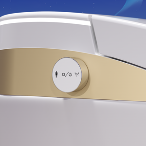 Chất Lượng Cao Hot Bán Vàng Thông Minh Nhà Vệ Sinh Ghế Điều Khiển Từ Xa Tự Động Xả Nước Nóng Ghế <span class=keywords><strong>S</strong></span>àn Gắn Gốm Dual-Flush P-Trap - Product Image 5