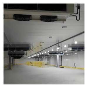 Paddenstoel Kweek Koudkamer Grote Schaal Koude Opslag Voor Groenten - Product Image 4