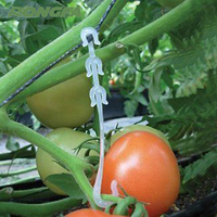 Clip de fixation en J pour tomates, plantes de jardin, légumes et vignes