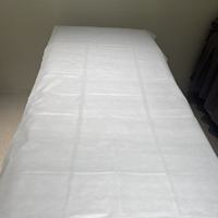 Draps de lit jetables de haute qualité, écologiques, imperméables, non tissés en PP, désinfectants aux infrarouges lointains, certifiés CE