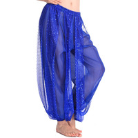 Pantalon sarouel de danse du ventre Bloomers brillants pantalon arabe Performance Wear