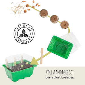Kit di Coltivazione per Giardino, Vasi per Piante da Esterno, Fioriere Divertenti - Product Image 4