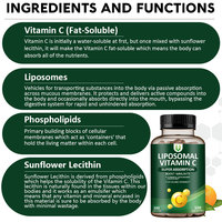 OEM/ODM Cápsulas de Vitamina C Liposomal de Súper Absorción Potente Sistema de Inmunidad Potente Suplemento Antioxidante