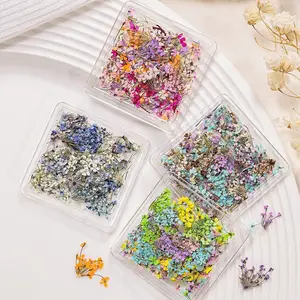 Decoração de unhas flores secas cores misturadas amuletos de unhas 3D flores secas DIY Nail Art suprimentos