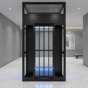 Ascensore Moderno <span class=keywords><strong>per</strong></span> Villa con Porta Elettrica <span class=keywords><strong>a</strong></span> Doppia Anta e Struttura in Metallo <span class=keywords><strong>per</strong></span> Appartamenti, Ville e Magazzini - Product Image 4
