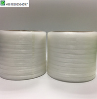 Ceinture de cerclage automatique en plastique PP pour machine à cerclage de billets de banque ZK-400bl