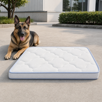 Matelas pour chien d'extérieur à ressorts ensachés, directement de l'usine, pour jardin et camping (vente au détail)