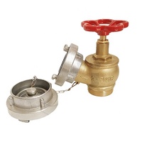 Vanne d'hydrant DN40, connecteurs à double colonne sèche pour conduite d'incendie