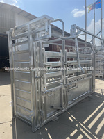 Système durable de pesage de chute de compression de bétail avec la porte principale bovine réglable pour des opérations vétérinaires de ranch