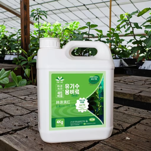 Fertilizante de algas marinas con ácido algínico orgánico, aerosol <span class=keywords><strong>foliar</strong></span> de clorofila <span class=keywords><strong>para</strong></span> árboles <span class=keywords><strong>frutales</strong></span> y flores, protección contra la ampliación de caídas - Product Image 3