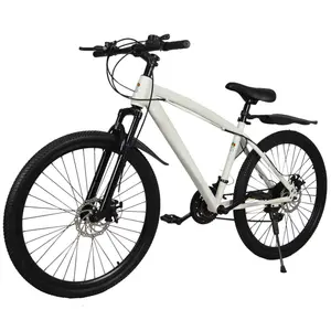 高品質SDC-03軽量チェーンタイプ超強力統合フレーム自転車タイヤマウンテンバイク
