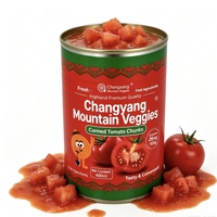 Geblikte gepelde tomatenblokjes in sap 400g, kant-en-klaar, groothandel, voedselveilig, blikken voor detailhandel en supermarkten