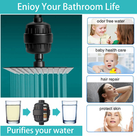 Filtre de Douche Revitalisant Noir à Haut Débit 10/15/20 Étapes, Tête de Douche Filtrante Anti-Chlore pour Soin de la Peau et des Cheveux