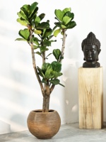 Pot de fleurs sphérique sur pied en ciment d'argile de magnésium, grand diamètre, style nordique minimaliste, luxe léger, Simple Green International
