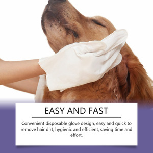 Lingettes compostables pour animaux de compagnie, non parfumées, pour peaux sensibles, lingettes de nettoyage dentaire pour animaux, gants de nettoyage pour animaux - Product Image 1