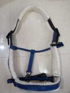 Durable Leather Horse Show <b>Halter</b> With Reinforced Design Suitable For Daily Training And Professional Competition Use - Product Image 4