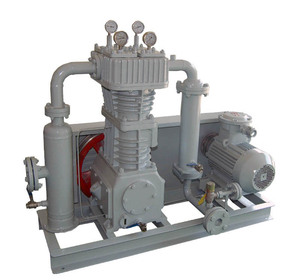 Compresor de cloruro de metilo pequeño de frecuencia variable, sin aceite, de movimiento alternativo BT4, tipo refrigerado por aire. - Product Image 1