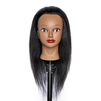 Tête de mannequin chauve-souris, accessoire de coiffure pour Salon de beauté, modèle au choix