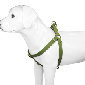 Laisse et Harnais pour Chien en PVC de Haute Qualité, Imperméables, Ajustables et Durables, avec Boucles à Libération Facile pour Chiens de Petite et Grande Taille - Product Image 5