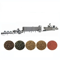 Machine d'extrusion de granulés d'aliments aquatiques à double vis automatique de 5 TPH, ligne de production de granulés d'aliments pour poissons flottants à vendre