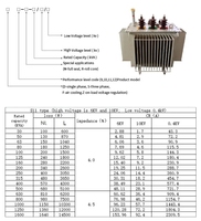 Transformateurs de distribution d'énergie triphasés immergés dans l'huile, résistance aux basses températures, 11 kV/33 kV, 300 kVA, 1000 kVA, 10 MVA