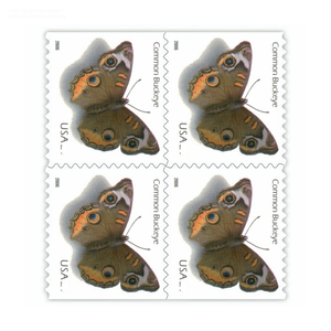 Etiquetas de Sellos Postales 2021, Conejo, Clase I Postal de EE. UU., Pato 2024, Franqueo 2026, 100 Unidades del Reino Unido para Etiquetas de Sellos Postales - Product Image 6