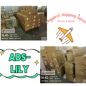 Logistique aérienne et express à faible coût pour l'Asie du Sud-Est – Canal spécial pour batteries, liquides, poudres, produits de santé – Service d'assurance DDP - Product Image 6