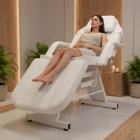Table de massage pliable et réglable, lit de beauté professionnel avec tabouret ergonomique, mobilier de salon pour studio de tatouage et extensions de cils