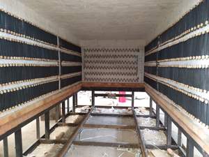 Four de traitement thermique industriel personnalisé à foyer à chariot résistant, pour noyaux de roulement, 380V*3 50/60Hz, Garantie 1 an - Product Image 5