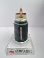 Cable de Alimentación Blindado YJV22 8/15kV con Armadura de Alambre de Acero, Aislamiento de PVC, Clasificación IP66, para Minería, Entierro Directo y Uso en Zanjas