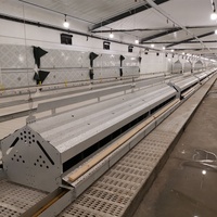 Poulailler nid Cage de poule, Machine d'élevage d'œufs, élevage de volaille ferme à distance collecteur automatique nidification