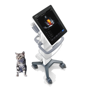 Ecógrafo Portátil a Color Mindray TE5 Vet, Imágenes de Alta Resolución, Sistema Multiprobes para Clínicas Veterinarias - Product Image 5