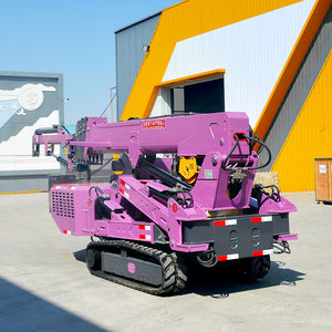 Leepa auf Lager Günstiger Preis 5T Mini-Raupenkran mit Honda Diesel/Elektromotor 17m Max. Hubhöhe Hohe Effizienz - Product Image 3