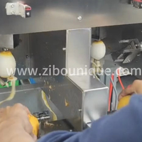 Automatische fruit- en groenteverwerkingsmachines, snijmachines, top- en staartafsnijders, citroensnijmachine