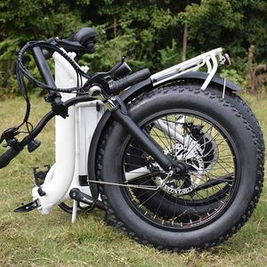 Vélo électrique pliant avec gros pneus de 20 pouces, RaiderExpand-45F w, 48v, 750 - Product Image 5