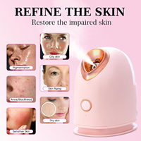 Diffuseur facial hydratant compact et portable à pulvérisation thermique transfrontalière pour soins de beauté