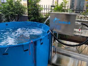 ตู้กรองน้ำสแตนเลสสำหรับบ่อ<span class=keywords><strong>ปลา</strong></span>คาร์<span class=keywords><strong>ฟ</strong></span>และบ่อปลานิล ทนทาน ใช้งานได้ยาวนาน ผู้จัดจำหน่ายตัวกรอง - Product Image 4