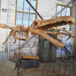 Squelette de dinosaure hautement réaliste, modèle de squelette de Tyrannosaurus simulé pour l'affichage dans les musées d'histoire <span class=keywords><strong>naturelle</strong></span> - Product Image 4