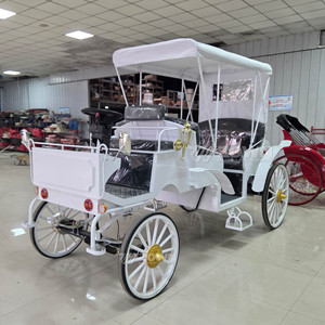 Carruaje Eléctrico de Alta Calidad Directo de Fábrica, 4 Plazas, Estilo Real de Lujo para Atracciones Turísticas, Bodas y Parques - Product Image 4