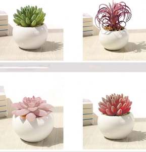 Mini Suculentas Artificiales de Alta Calidad, Simples, de PVC, Portátiles, para Decoración, Pequeñas Plantas en Maceta, Regalos Promocionales de Negocios - Product Image 4