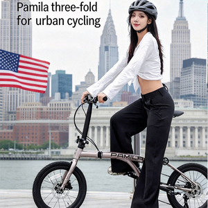 铬钼钢轻质高品质 Pamila Q1 36V 7Ah 250W 80km 25km/h 液压刹车 20 英寸迷你三折电动折叠自行车 - Product Image 6