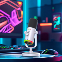 Kit de microphone filaire cardioïde professionnel RVB Micro de bureau USB Plug-and-Play avec jeu de puces audio Podcast pour utilisation en studio
