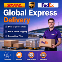 Service de livraison express de Chine vers les États-Unis, livraison porte à porte, transitaire pour petits colis et marchandises urgentes