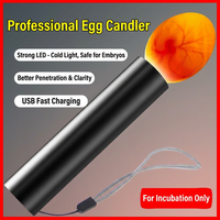Lampe de test d'œufs portable à LED, lampe torche pour œufs de reptiles, poulets, canards, oiseaux, incubateur, lampe ultra-lumineuse