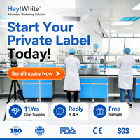 Gel de soin des gencives à l'extrait de safran, gel de soin buccal à base de plantes pour l'entretien des gencives, étiquette privée OEM personnalisable